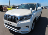 2019 Toyota Land Cruiser Prado TX