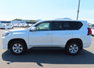 2019 Toyota Land Cruiser Prado TX