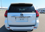 2019 Toyota Land Cruiser Prado TX