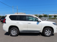 2019 Toyota Land Cruiser Prado TX