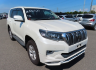 2019 Toyota Land Cruiser Prado TX