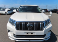 2019 Toyota Land Cruiser Prado TX