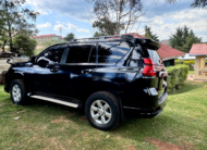 Toyota Land Cruiser Prado TX