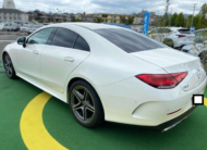 2019 Mercedes-Benz CLS-Class