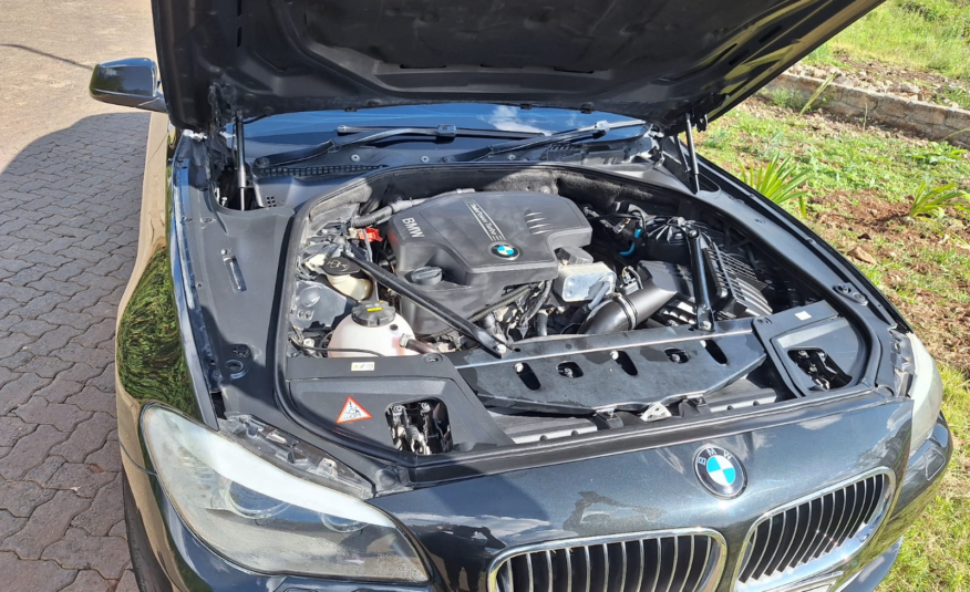 2014 BMW 520i Turbocharged