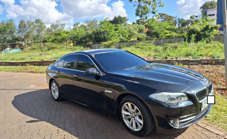 2014 BMW 520i Turbocharged