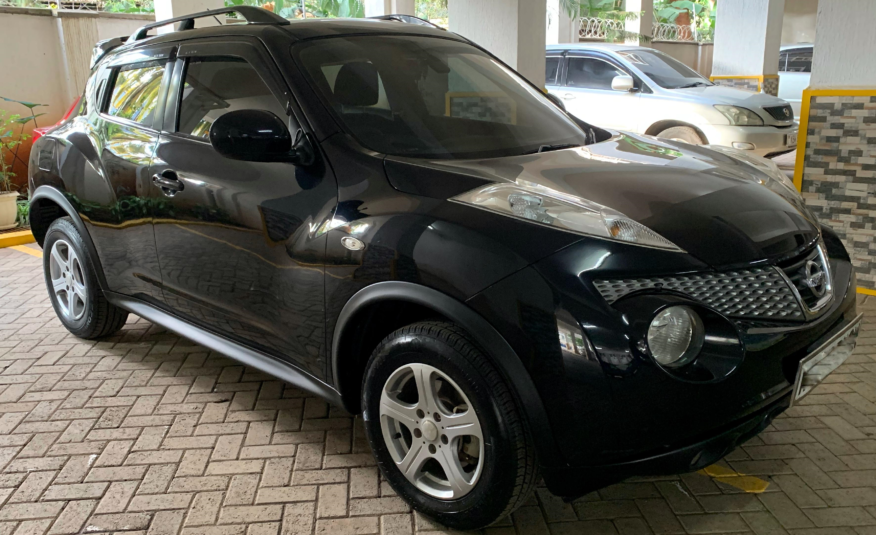 2012 Nissan Juke