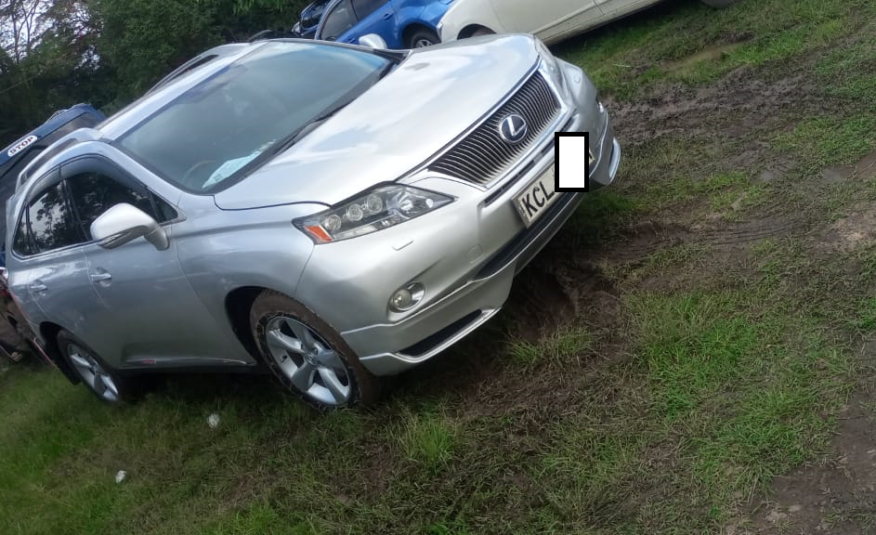 2010 Lexus RX 350