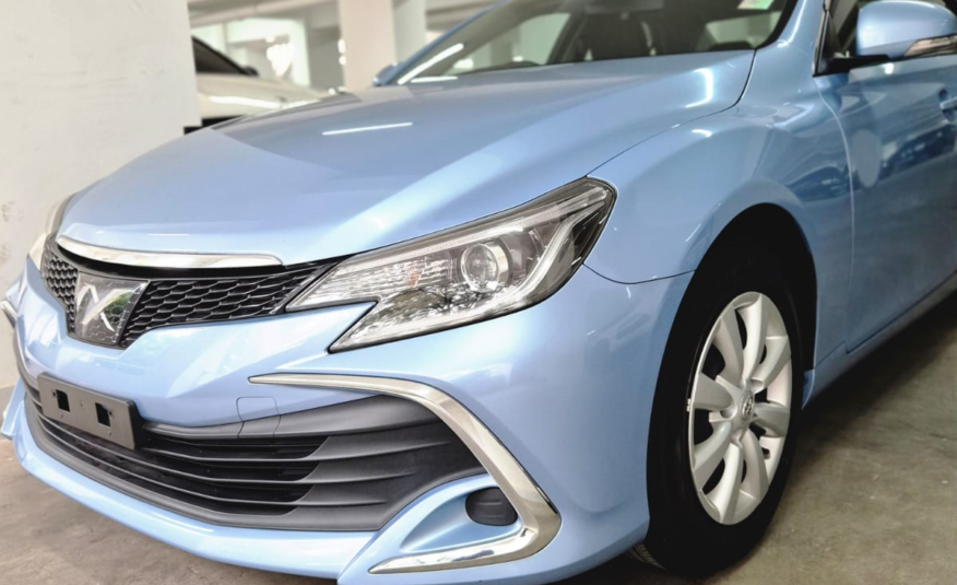 2017 Toyota Mark X