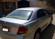 2010 Toyota Axio