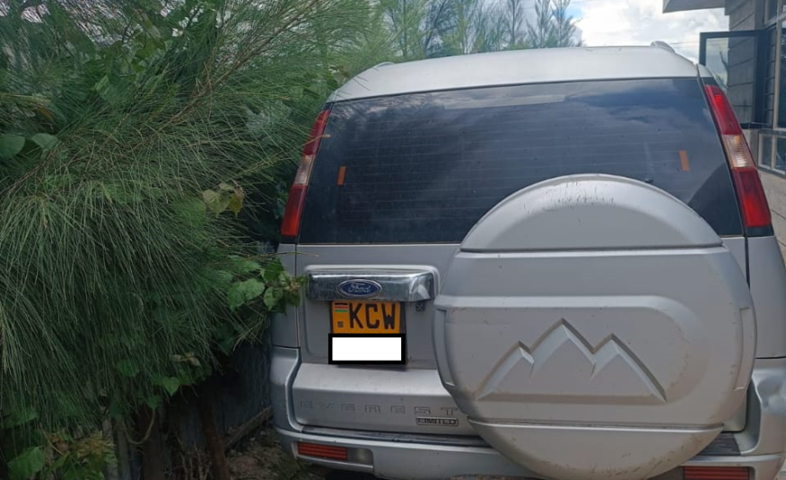 2013 Ford Everest