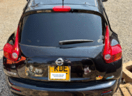 Nissan Juke 2014