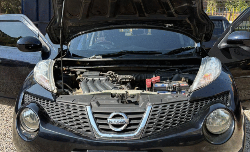 Nissan Juke 2014
