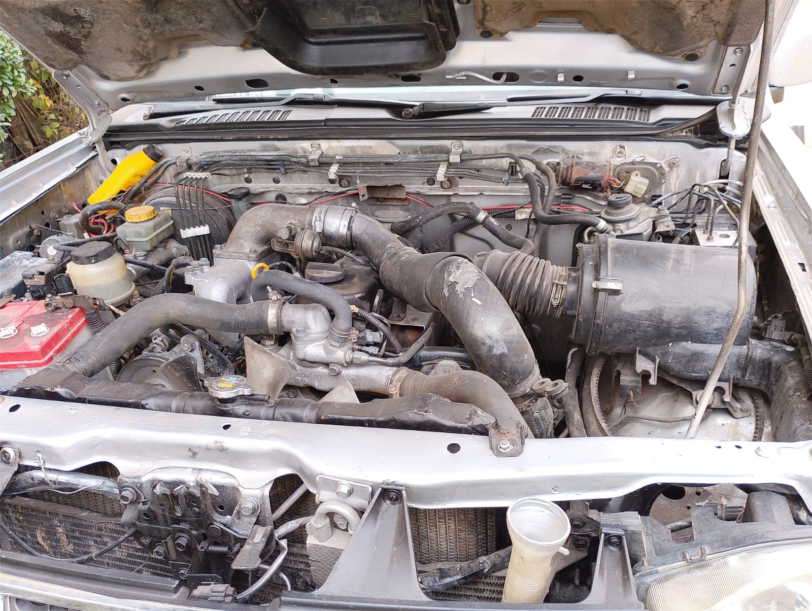 Nissan Hardbody 2005